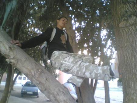 yassin